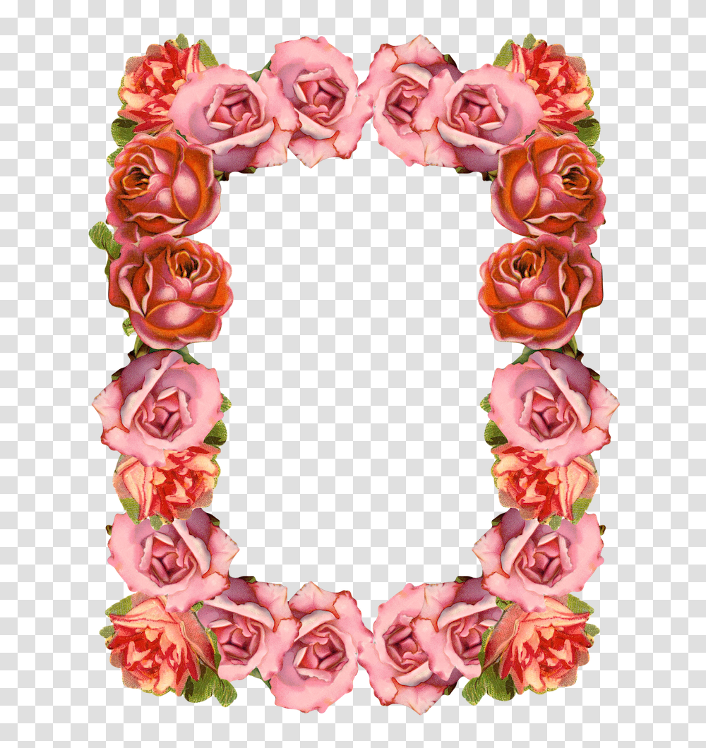 Free Digital Sugary Vintage Rose Frame And Border, Plant, Flower, Blossom, Flower Arrangement Transparent Png