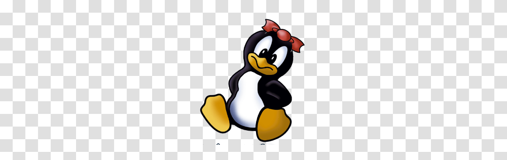 Free Distributions Lea Linux Icon, Bird, Animal, Penguin, King Penguin Transparent Png