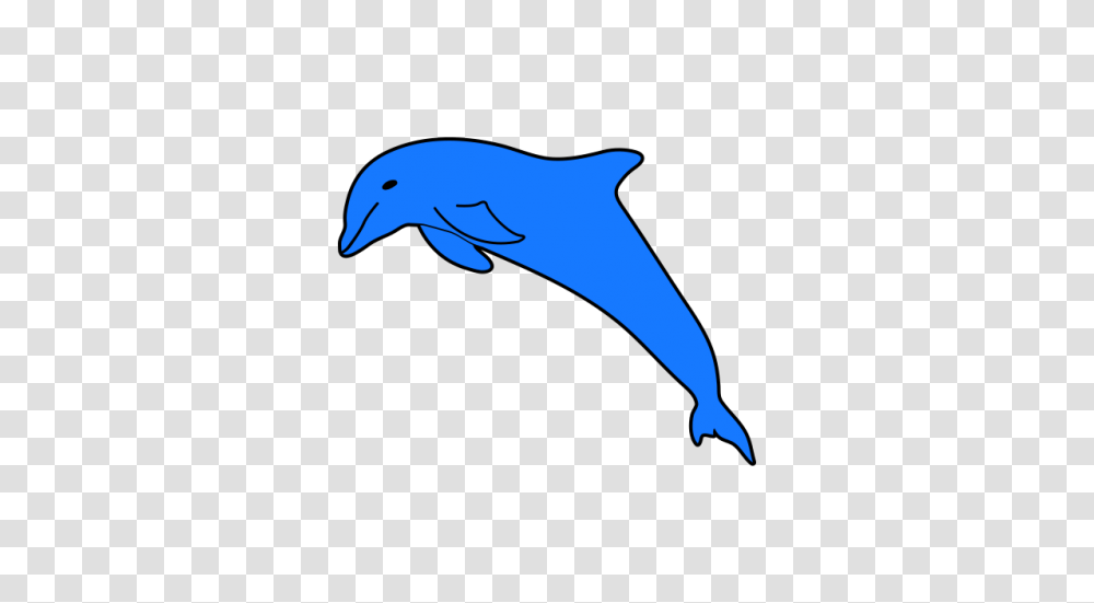 Free Dolphin Cliparts Vector, Sea Life, Animal, Mammal, Whale Transparent Png