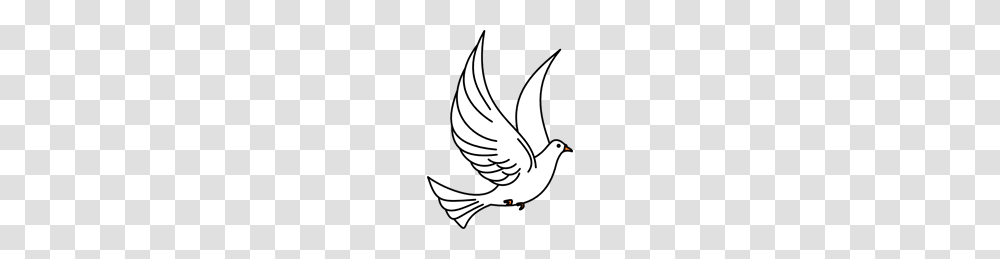 Free Dove Clipart Dove Icons, Bird, Animal, Pigeon Transparent Png