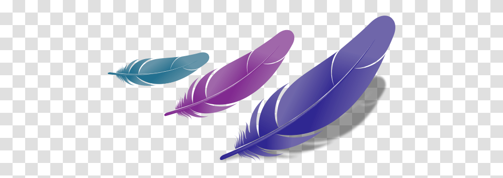 Free Download Bird Feather Fascinating Feathers 572x294 Bird Feather, Purple, Leaf, Plant, Flower Transparent Png