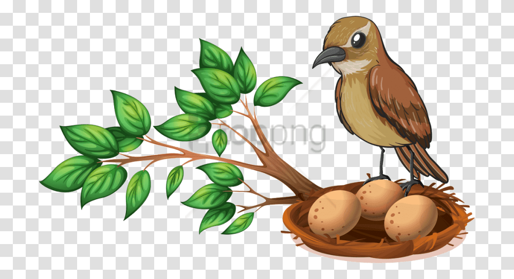 Free Download Bird Nest On Tree Images Background Bird Nest In Tree Clipart, Animal, Egg, Beak, Jay Transparent Png