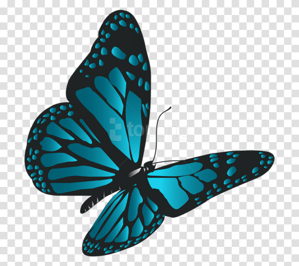Free Download Blue Butterfly Clipart Photo Real Blue Butterfly, Insect, Invertebrate, Animal Transparent Png