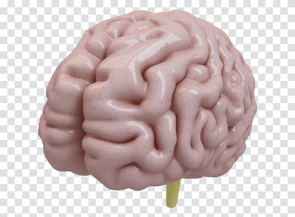 Free Download Brain 3d Model, Cream, Dessert, Food, Creme Transparent Png