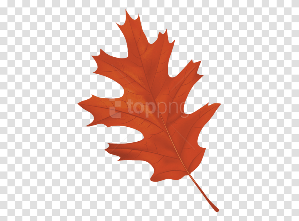 Free Download Brown Autumn Leaf Clipart Photo Autumn Leaf Clipart, Plant, Tree, Maple, Maple Leaf Transparent Png