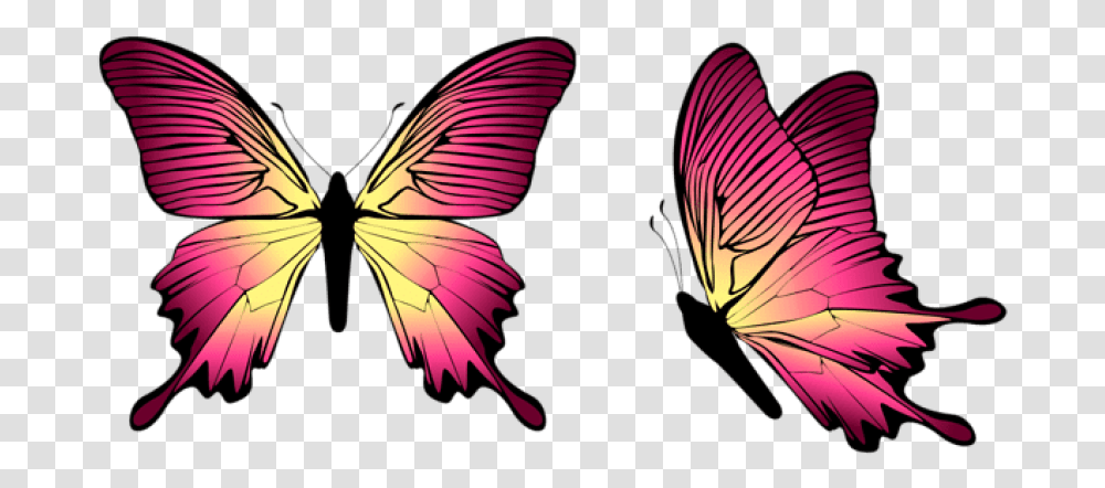 Free Download Butterfly Clipart Photo Images Gambar Kupu Kupu Biru Dan Pink, Insect, Invertebrate, Animal, Person Transparent Png