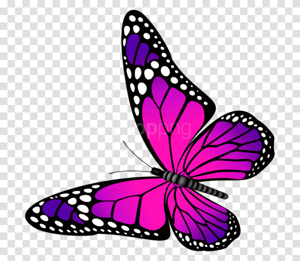Free Download Butterfly Pink Butterfly Pink And Purple, Graphics, Art, Animal, Insect Transparent Png