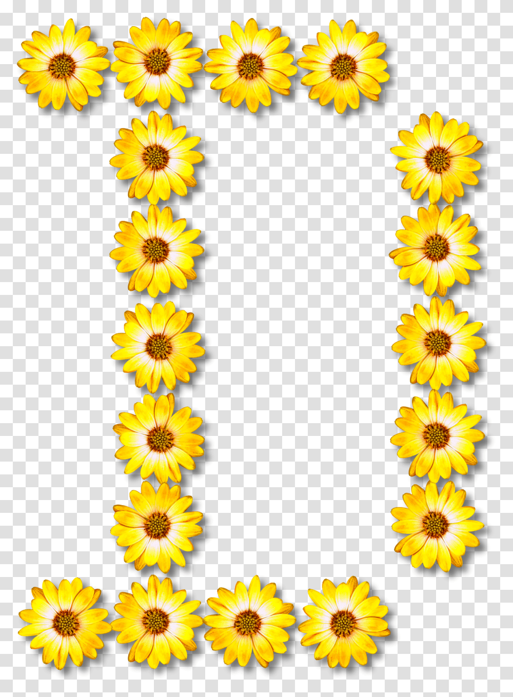 Free Download Common Sunflower Clipart Bunga Bentuk Huruf N, Plant, Graphics, Floral Design, Pattern Transparent Png