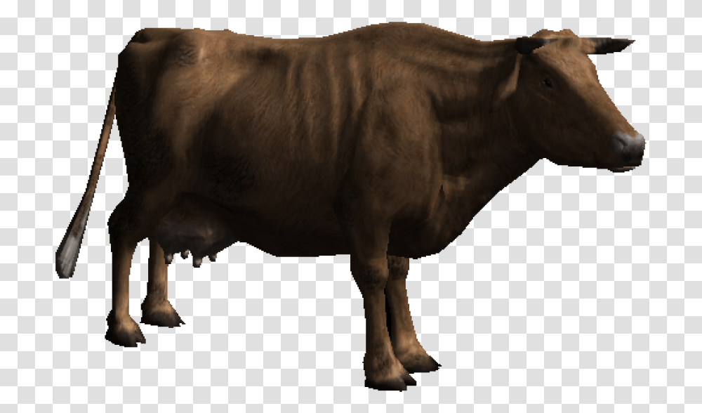 Free Download Cow Images Background Images, Bull, Mammal, Animal, Cattle Transparent Png