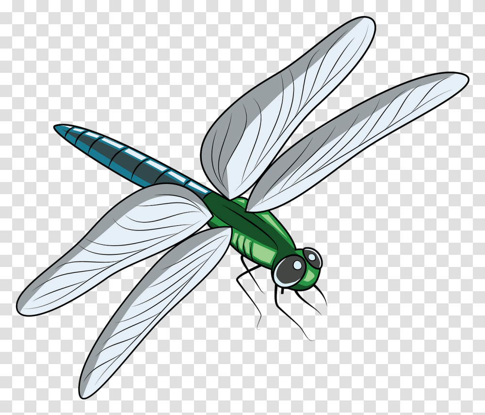 Free Download Creazilla Dragon Fly Pond Clipart, Dragonfly, Insect, Invertebrate, Animal Transparent Png