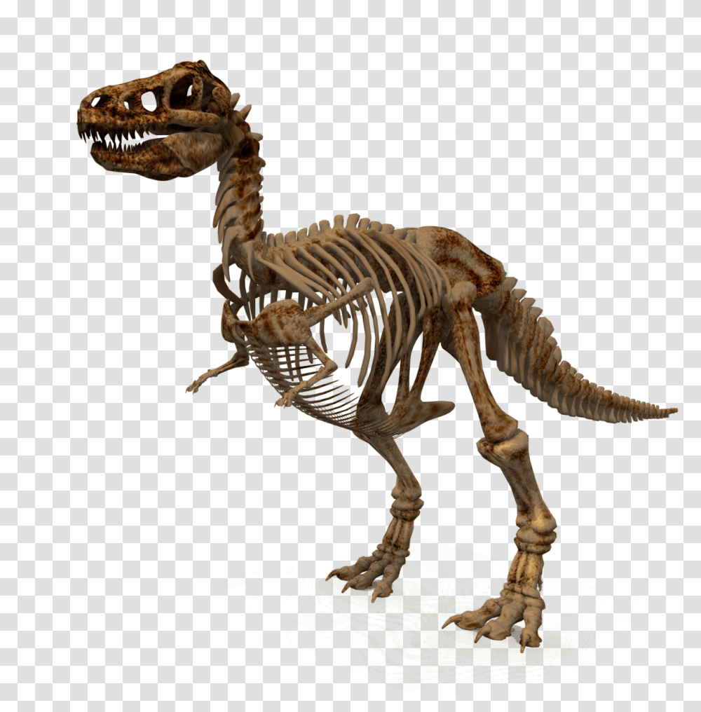 Free Download Dinosaur Images Background Dinosaur Skeleton, Reptile, Animal, T-Rex Transparent Png