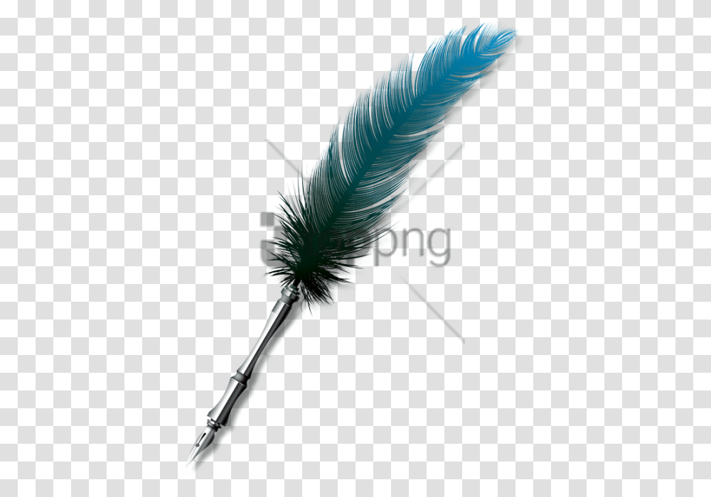 Free Download Feather Pen Images Background Background Pen, Bird, Animal, Brush, Tool Transparent Png