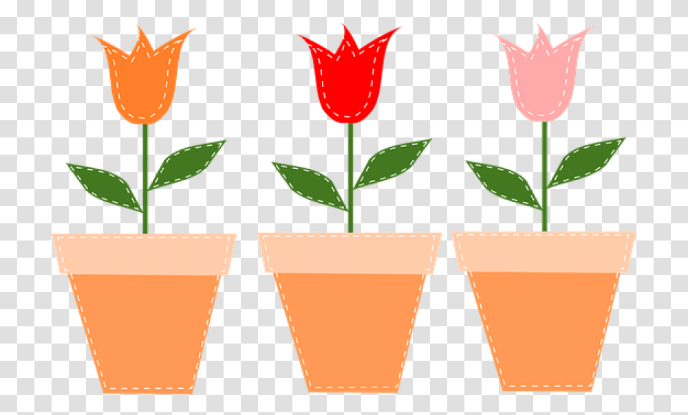 Free Download Flower Pots Pots Tulips Flowers Pot Flower Pot Clipart, Plant, Blossom, Glass, Rose Transparent Png