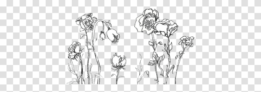 Free Download Flowers Aesthetic Drawing, Plant, Art, Person, Graphics Transparent Png