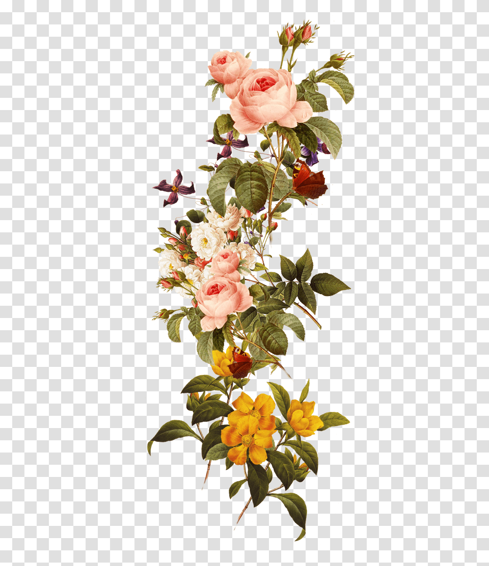 Free Download Flowers Images Clipart Royalty Free Library Beautiful Flowers, Plant, Blossom, Flower Arrangement, Ikebana Transparent Png