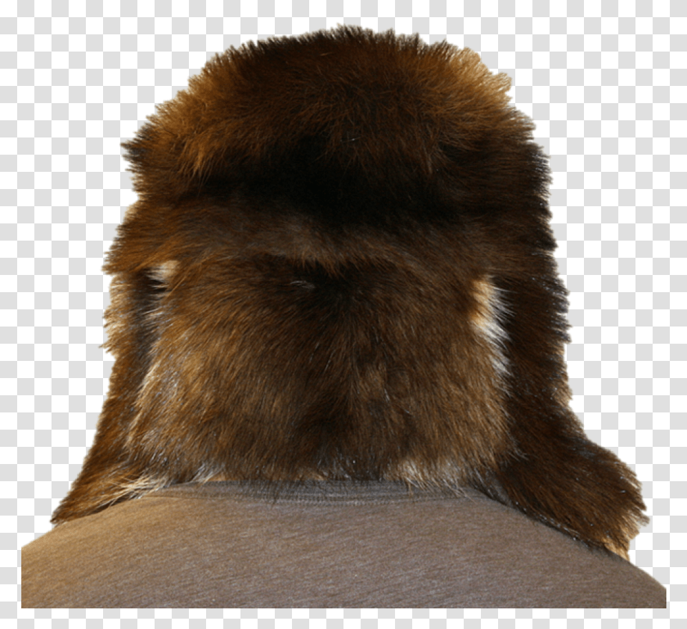 Free Download Fur Clipart Fur Clothing Ushanka Ushanka, Cushion, Bear, Wildlife, Mammal Transparent Png