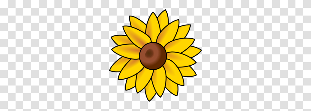 Free Download Girasol Clipart For Your Creation Templates, Plant, Flower, Blossom, Lamp Transparent Png