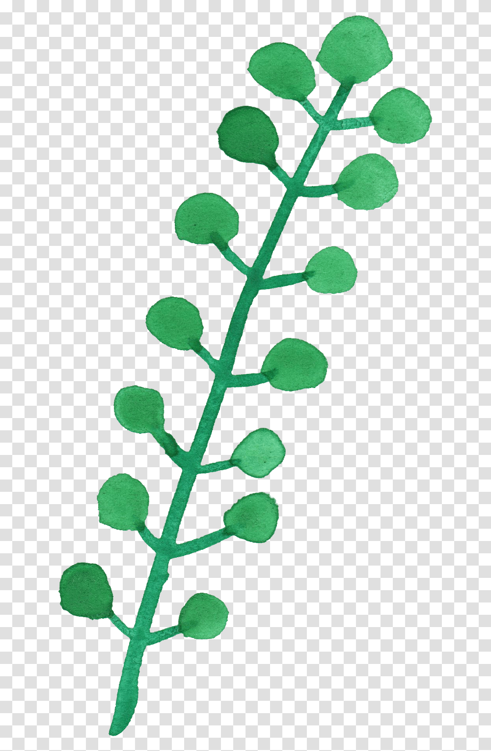 Free Download, Green, Leaf, Plant, Flower Transparent Png