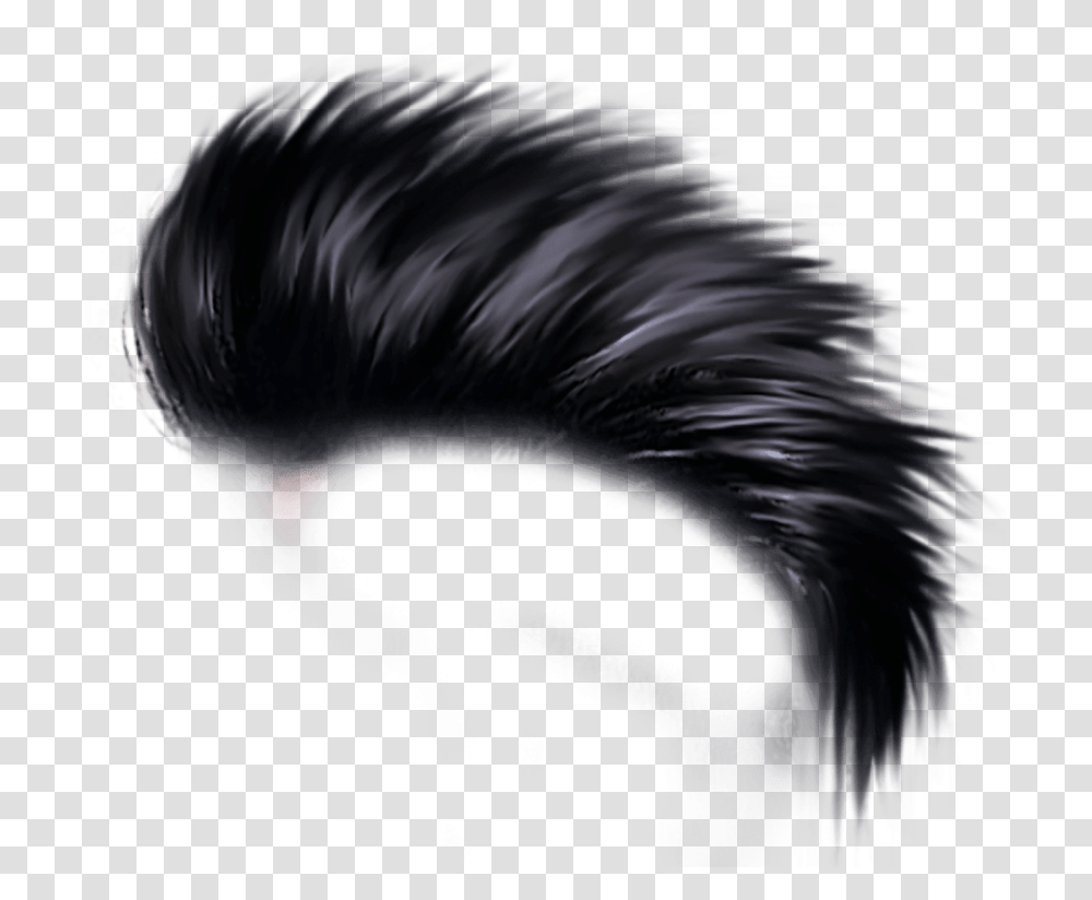 Free Download Hair Style Hd Images Background Hair Style For Editing, Dragon, Bird, Animal, Chicken Transparent Png