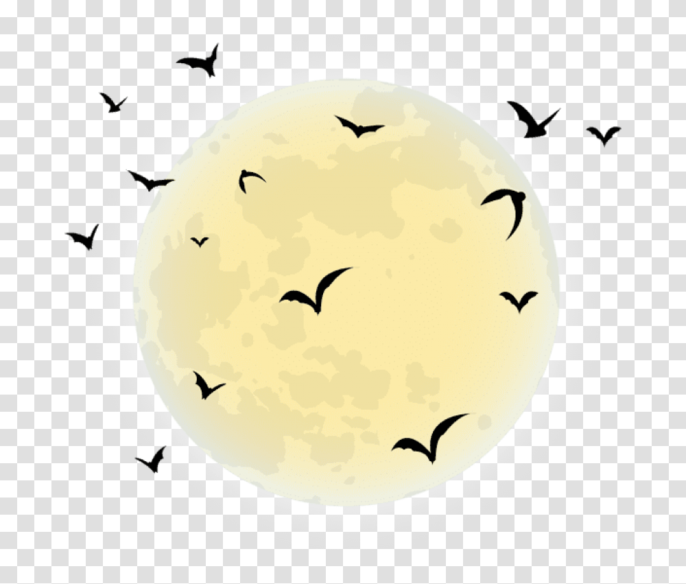 Free Download Halloween Moon Clipart Moon, Bird, Animal, Nature, Text Transparent Png