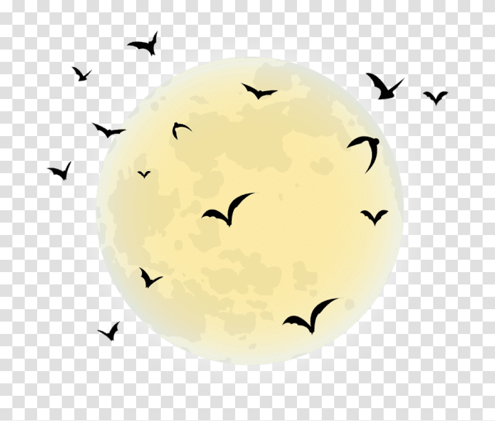 Free Download Halloween Moon Images Background Clipart Halloween Full Moon, Bird, Animal, Nature Transparent Png