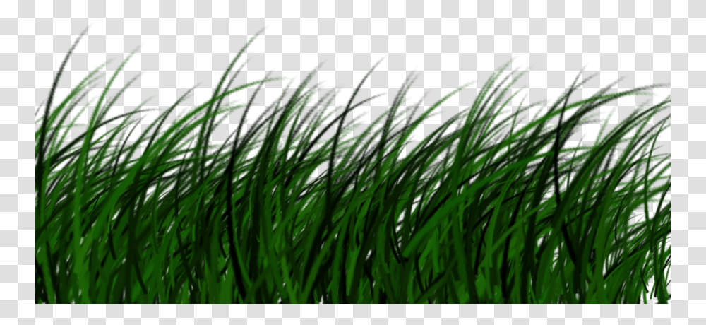 Free Download High Quality Grass Image Portable Network Graphics, Plant, Green, Nature, Vegetation Transparent Png