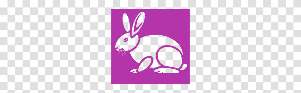 Free Download Mammal Clipart European Rabbit Easter Bunny Bunny, Bird, Animal, Hare, Rodent Transparent Png