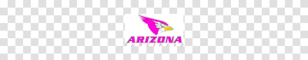 Free Download Of Arizona Cardinals Vector Logo, Jay, Bird, Animal Transparent Png