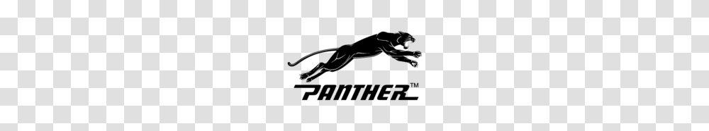 Free Download Of Black Panther Vector Logos, Animal, Wildlife, Amphibian, Person Transparent Png