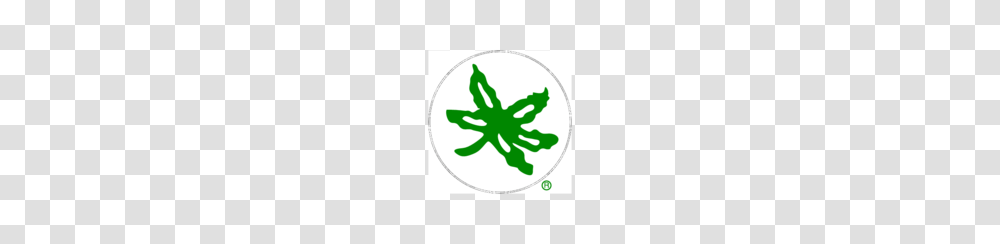 Free Download Of Ohio State Buckeye Leaf Vector Graphics, Plant, Tree, Anther, Plot Transparent Png