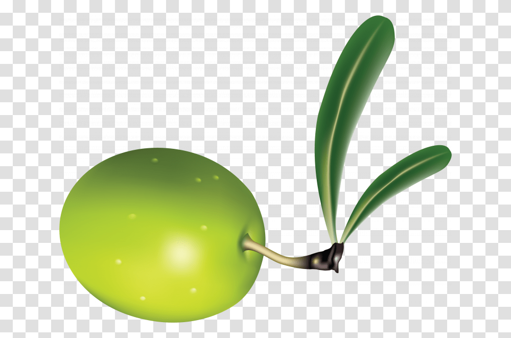 Free Download Of Olives In Background Olive Leaf Clipart, Plant, Green, Fruit, Food Transparent Png