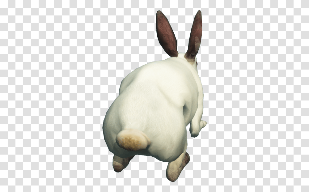 Free Download Of Rabbit Icon Clipart Rabbit From Back, Animal, Hare, Rodent, Mammal Transparent Png