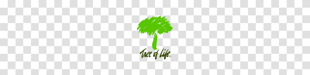 Free Download Of Tree Of Life Vector Graphics And Illustrations, Plant, Leaf, Vegetable, Food Transparent Png