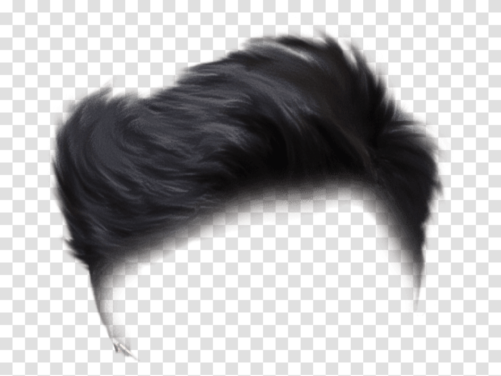 Free Download Picsart Photo Studio Images Background Boy Hair Hd, Dog, Pet, Canine, Animal Transparent Png