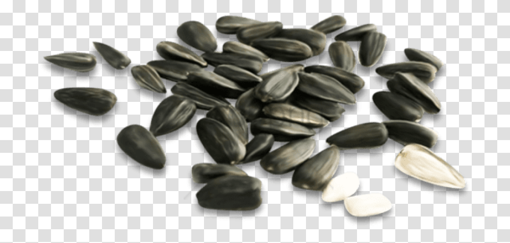 Free Download Sunflower Seed Images Background Semechki, Plant, Grain, Produce, Vegetable Transparent Png