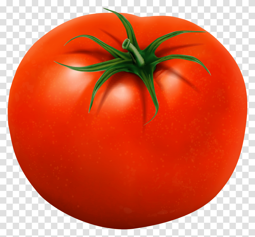 Free Download Tomato Images Background Tomate Transparent Png