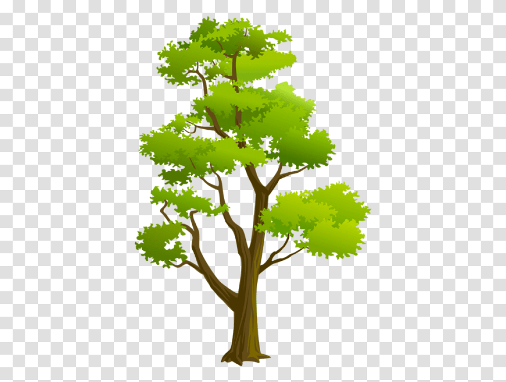 Free Download Tree Images Background High Resolution Text, Plant, Leaf, Vegetation, Bush Transparent Png