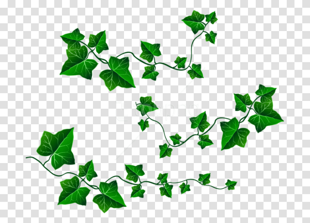 Free Download Vine Leaves Decorationpicture Clipart Vine Of Leaves Clipart, Plant, Ivy, Leaf Transparent Png