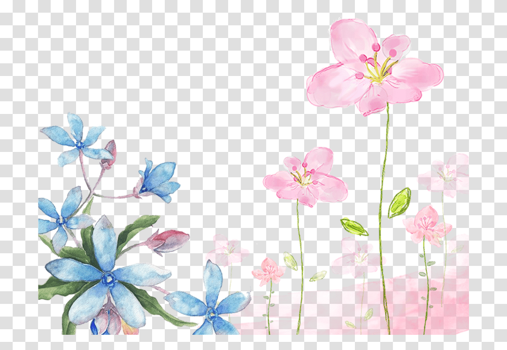 Free Download Watercolor Flowers Background, Plant, Blossom, Geranium, Anther Transparent Png