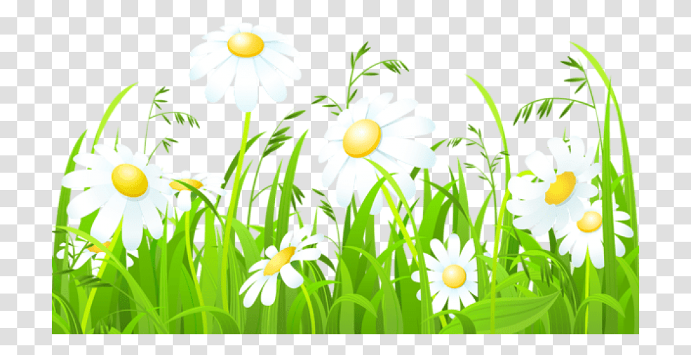 Free Download White Flowers And Grass Grass Border Design Clipart, Daisy, Plant, Daisies, Blossom Transparent Png