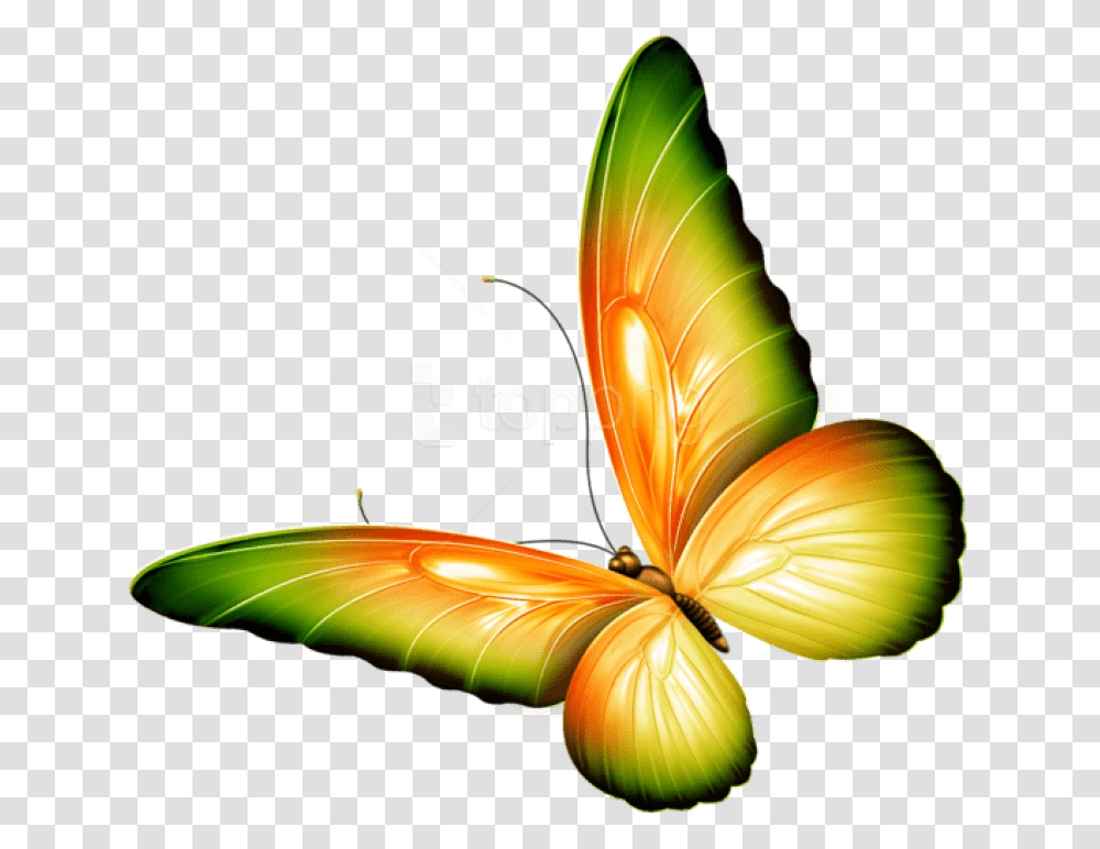 Free Download Yellow And Green Butterfly, Flower, Plant Transparent Png