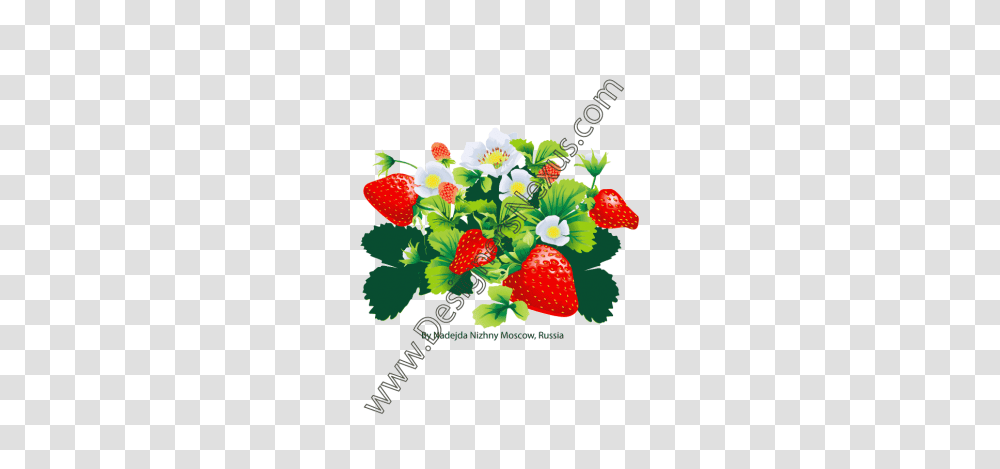 Free Downloads Floral Clip Art Vector Flower Graphics, Strawberry, Fruit, Plant, Food Transparent Png