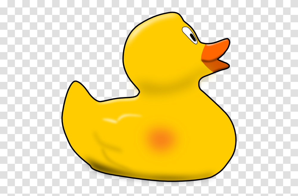 Free Duck Clipart, Bird, Animal, Poultry Transparent Png