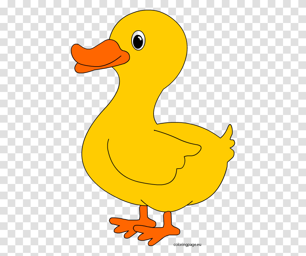 Free Duck Clipart Cute Duck Clip Art, Bird, Animal, Poultry, Fowl Transparent Png