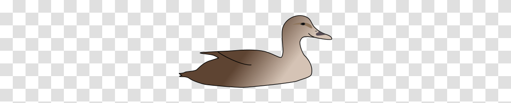 Free Duck Clipart Duck Icons, Animal, Arm, Furniture, Bird Transparent Png