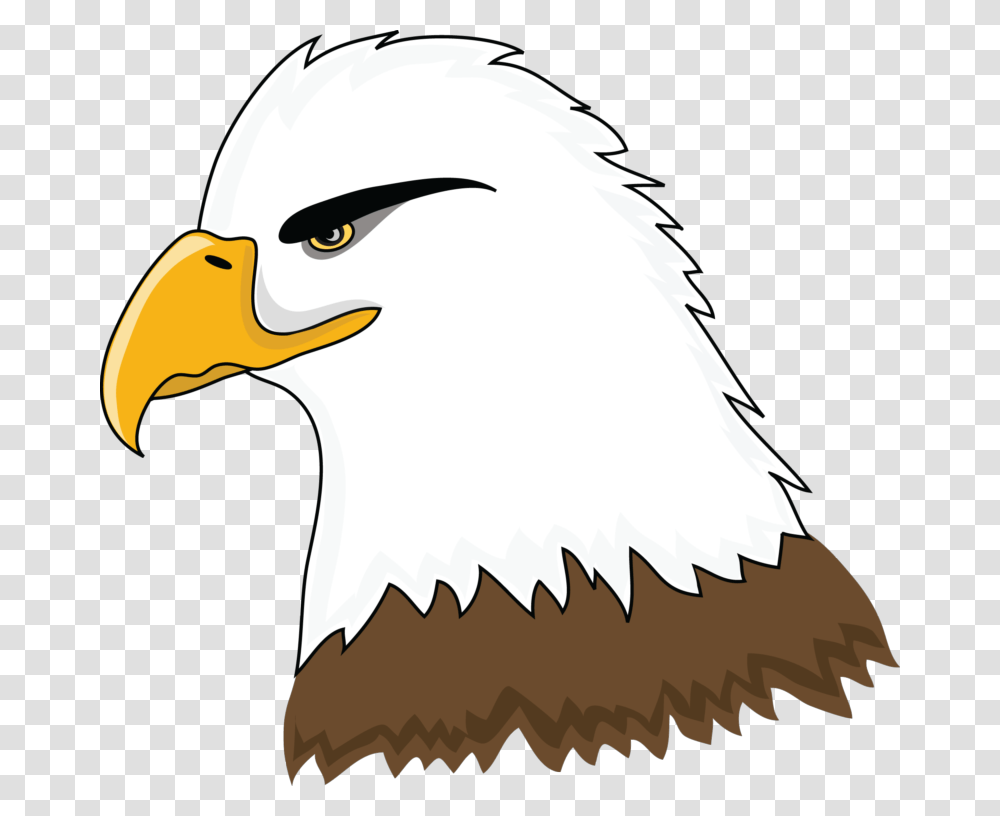 Free Eagle Clip Art Pictures, Bird, Animal, Bald Eagle, Beak Transparent Png