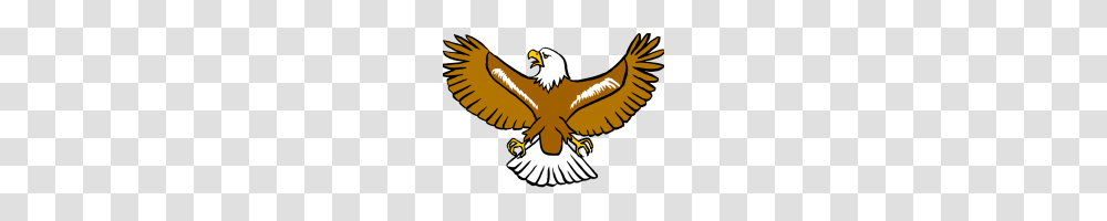 Free Eagle Clipart Eagle Clipart Free Inspirational Bald Eagle, Bird, Animal, Flying, Kite Bird Transparent Png