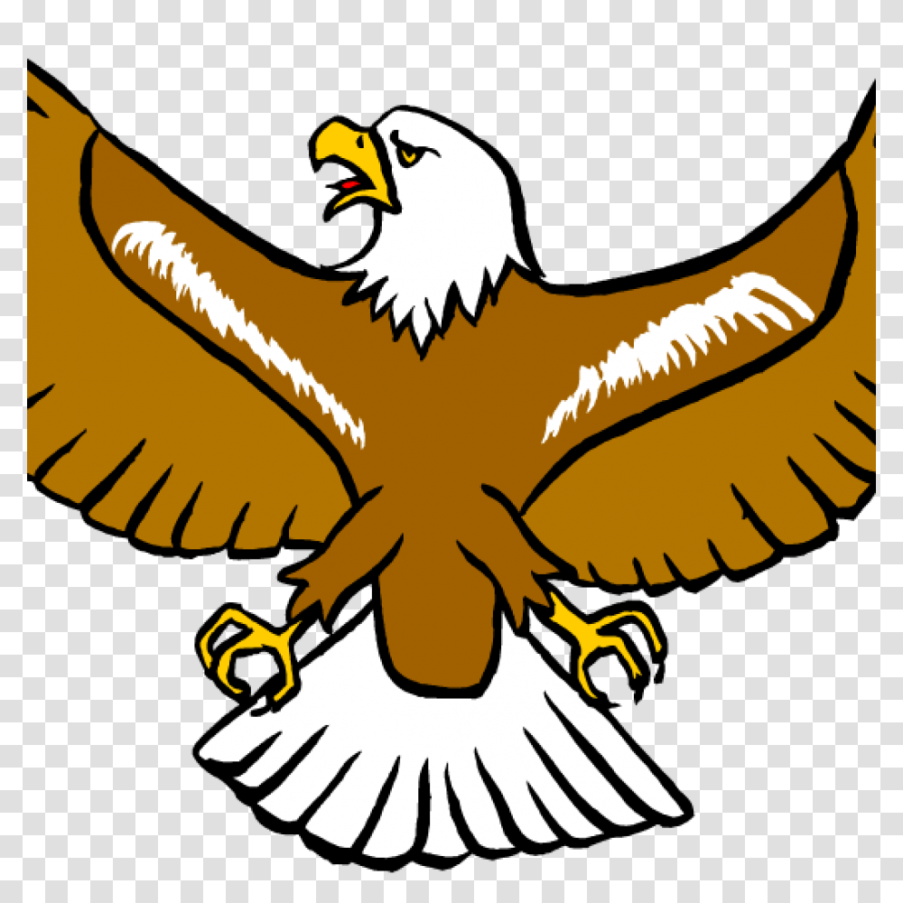 Free Eagle Clipart Free Clipart Download, Bird, Animal, Bald Eagle, Flying Transparent Png