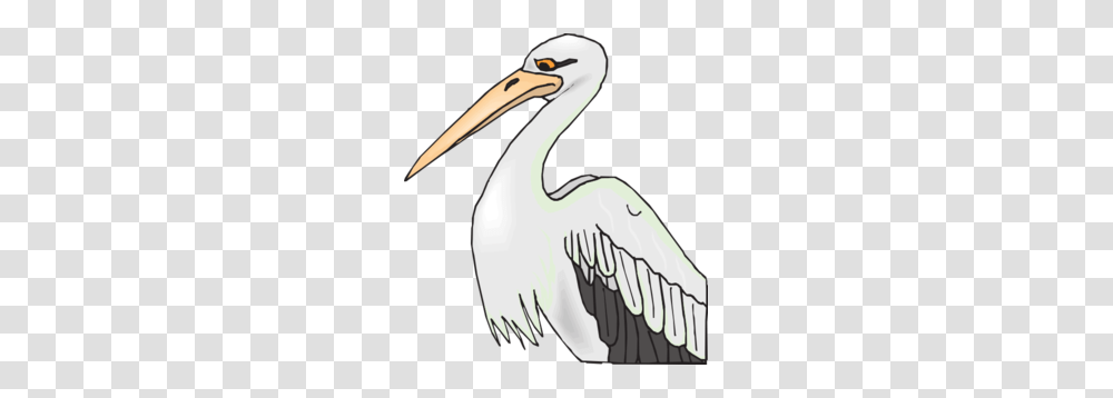 Free Eagle Clipart, Pelican, Bird, Animal, Hammer Transparent Png
