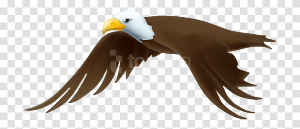 Free Eagle Images Background Clipart Bald Eagle Background, Beak, Bird, Animal Transparent Png